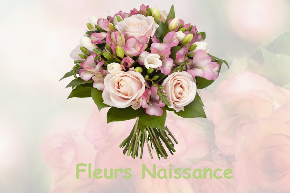 fleurs naissance VELOSNES