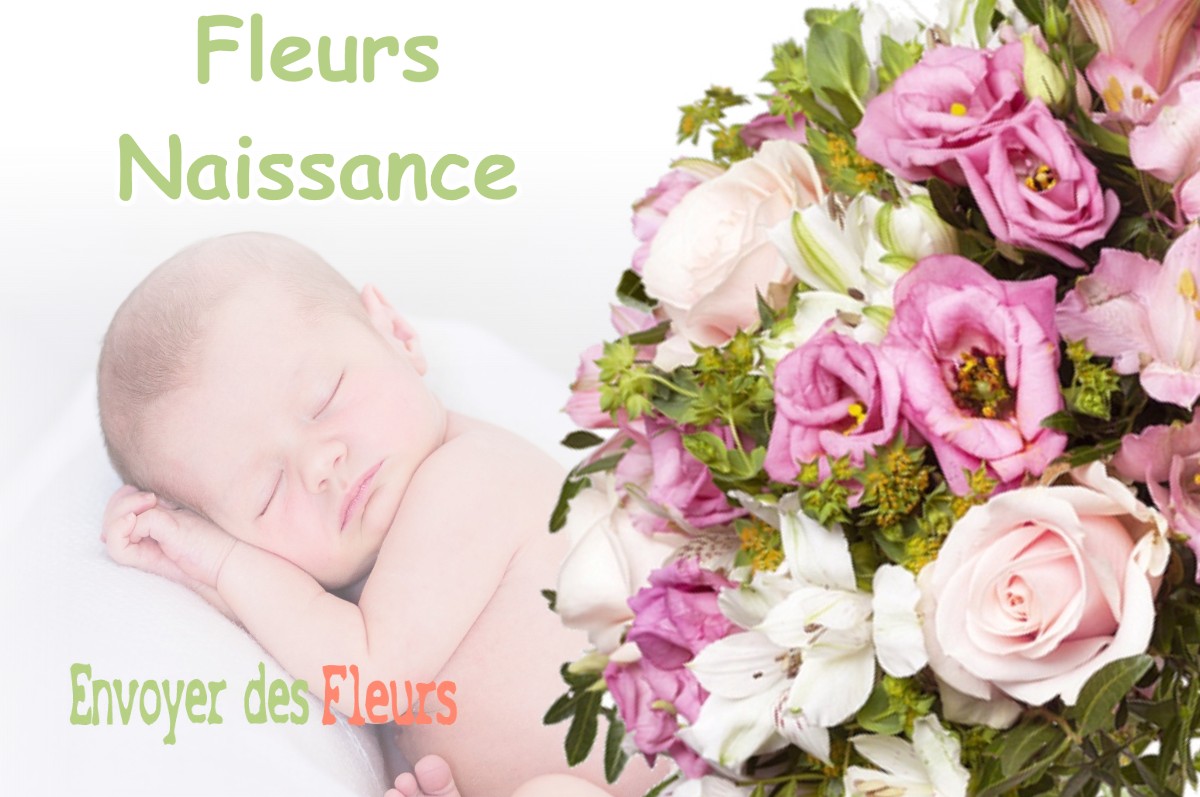 lIVRAISON FLEURS NAISSANCE à VELOSNES