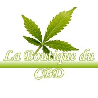 LA BOUTIQUE DU CBD VELOSNES 